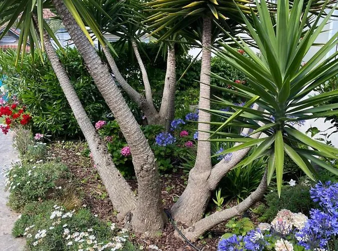 Léoval Sur Le Port Du Pouliguen Villa Le Pouliguen